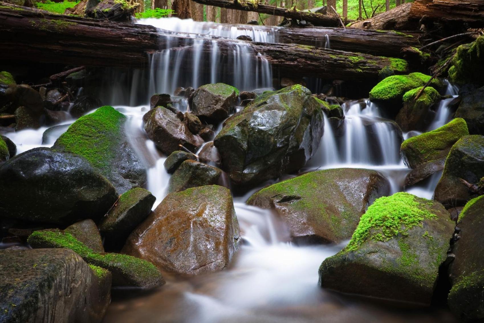 Sol Duc Hot Springs Resort Ovington 외부 사진